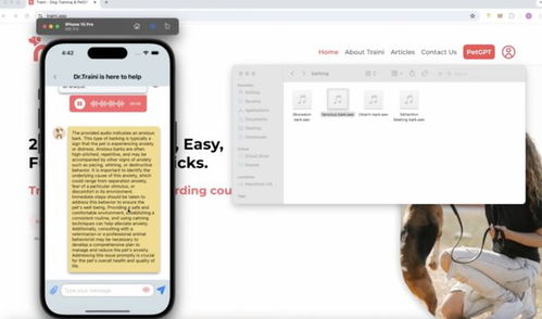 對話traini 四人團隊用大模型破解“狗語”，俘獲20萬用戶的心